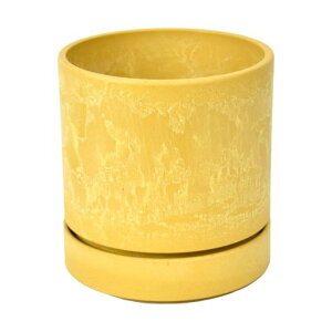 LEADSTYLEVhDJ|bg12CG[S[hLSP-53249[hTCY12xH13cmMtVvϗtA