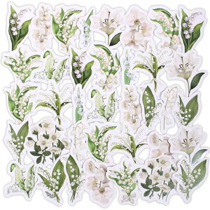 R[WfރV[t[NV[XebJ[eʂ킢V[fގ(3)