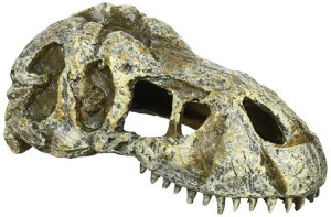 GL]eGEXEXOTERRAT-REXXJSPT2860঒ޗpVF^[I[igBƃoXLOX|bgW15xD7xH6cm