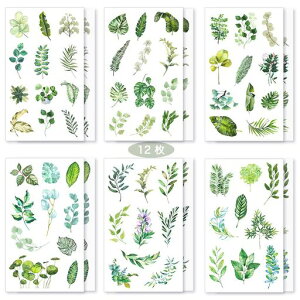 V[蒠V[킢ꏭ&qpaV[m[gV[12ZbgDIYXebJ[L_CA[J_[AoƌvpbP[WobOt(t)