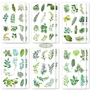 V[蒠V[킢ꏭ&qpaV[m[gV[12ZbgDIYXebJ[L_CA[J_[AoƌvpbP[WobOt(t)