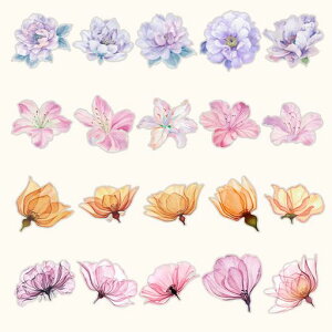 YOVOYR[WfރV[ԃV[Zbg킢t[NV[gXebJ[ԃV[fUCy[p[R[W蒠m[gL]ԃp\RoCtHRbvV[vc