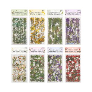 BOOHUQICHԃV[R[WV[t[NV[48Zbg蒠V[R[WfރXebJ[hfR[VV[킢ق