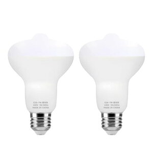 ZSSXOLEDE26lZT[LEDd7WE26R63d60W`800LM_/邢Yh~ߓdȃGlhƌ֊KiLʏsF6000K(2Zbg)