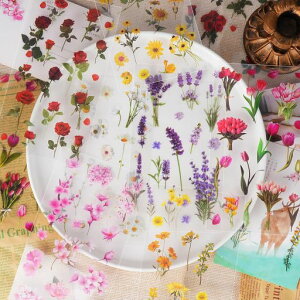 DradoR[WV[ԃt[NV[lߍ킹ԕʖ666PETЂ܂Aoh蒠pDIYfR6