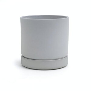 GreenshipAؔ󂯎Mt5(15.8CM)}bgȃIVGRfޔDF(CgO[5)