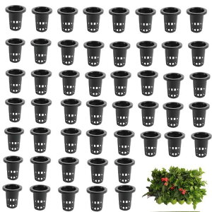 Granmagazzk͔||bg~`50Zbgk͔|k͔||bg͔|͔|pAK[fjO뉀|A͔|؍͔|c^^֗ɗD~`