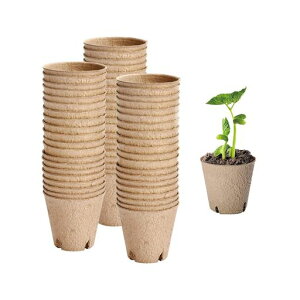 Lanitoc|bgAؔcDY|bg𐫒ʋCE̐݌v܂A͔|؍͔||piK[fjOƒ؉͔|pcp(50)