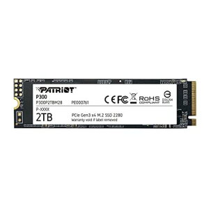 PatriotMemoryP3002TBM.2SSD2280NVMePCIeGen3x4�����^SSDP300P2TBM28