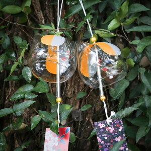 Kritlife2ZbgKX萟񂾉Ղ蕗܂K^炷Ă̕ꑋ莺Op݂₰Mtg蕨Zt(L(2Zbg))