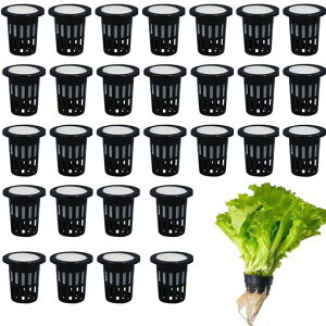 TRXk͔|Ak͔||bg30ZbgX|Wt|{|뉀A͔|L@͔|AvX`bNbV|bg