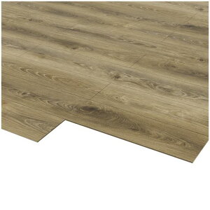 uȒPtA^Cy12/1ztA^Ct[O}bgtAV[gzt[O~ォ\邾OKؖڒEbhڒܕsvCDIYtH[c