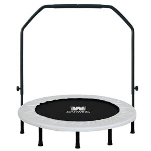 BARWING(o[EBO)Vfog|8{rÉω׏d150kgg|qplp_CGbgNbVg|܂肽ݑ傫܂݂肽݃g|Jo[c