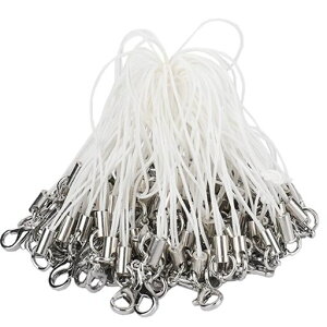 XgbvtbNt100{ZbggуXgbvANZT[bvANZTp[c|GXepRDIYnhCh|p[ch~h~USB/X}z/L[c