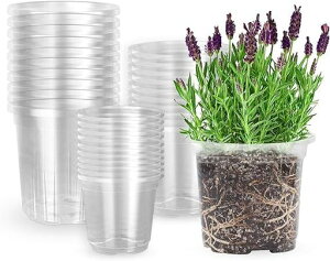 MIXC306.5/5/4C`c|bgAr̂Ap̓ȃvX`bNAc|bgAV[hX^[^[|bgAv^[|bg