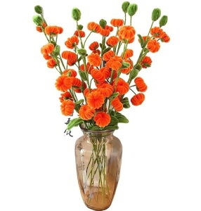 himsyuden|[J[[200{`̖؎LbgDIYԉԑJtH샂[ԃt[C[i[A[g`ޗ̓蕨ʂݑԊwZf