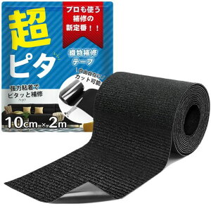 TOMIRAIzCe[viCy͔SEyAElpzziDCrj[jACsvٖDsv\ϐό󍂑ϋvJoX^[vԃV[g\t@[egCUyc