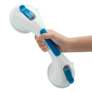 TAILIC肷藁肷zՉV[ĂhAnh藁gCoX[֎萠Ҏq]|\hsvtȒPގu[