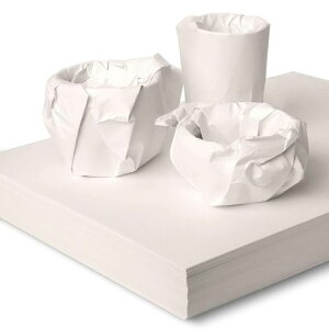 SOYANGNEKnVA4210x297mmVނ甼X肪ȂɏՍޖCNlߕXybgV[c