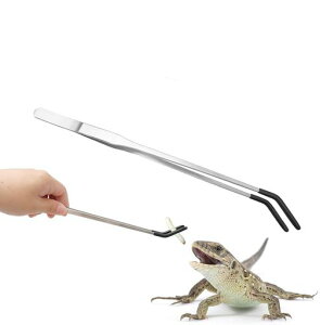 MUYYIKA঒މasZbgXeXagOS`bvtِގJGgJQwrp@\݂͂₷((Vo[J[usZbg1{)