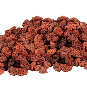 ߍނސϏ܋hߍޗُɉ׋۔|{򉻐PWƊCɓKp(ΎR)