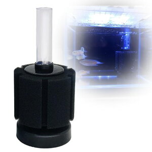 X|WtB^[X|WtB^[ݎߑupANAEptB^[PoCIߐz