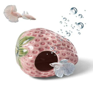 ANAEIuWFƏC`SnEXBƃVF^[͌^uI[ig