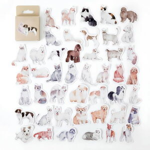 V[XebJ[蒠92LR[WԂR[q[ՂCfbNXV[()