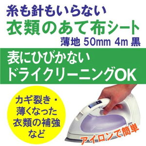 IjXjȂߗނ̂ĕzV[g(50mmx4m)[95912]