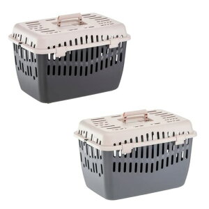 BINNYL[2ω׏d8kgJLybgpʉ@Oołs