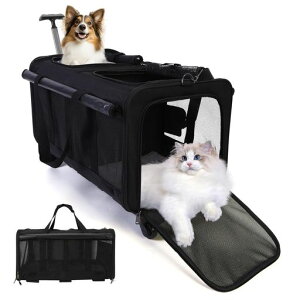 ybgJ[gybgL[J[g(2Cp)܂􌢒^ybg^Éu[LzC[eʒʋC|[^uȃXy[XK؂Ȓ^^LsLsOhCc