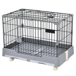 BTMETMP[WP[WLP[WpogCt|ȒPړ֗LX^[tX`[VEh~ʃlRnX^[Lbgxeybgpi