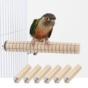 ؃R[IE~܂6Zbg3x11cmETMnX^[ނ~܂؃CR̂P[Wpybgpi