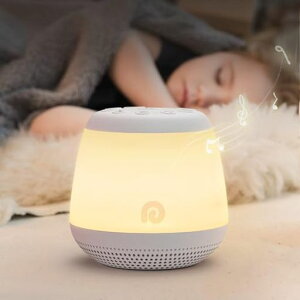 DreameggCgzCgmCY}V24IS[obe[QԂRGBCgF^C}[tUSB[dObYٓllg[jO鋃c