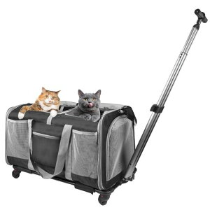 L2CL[ybgL[LX^[t^^L[J[gybgg[obOybgL[P[X܂݁y20kg/55cmz܂ŃT|[geʒʋCs/ʉ@/ʋ@/Ёc