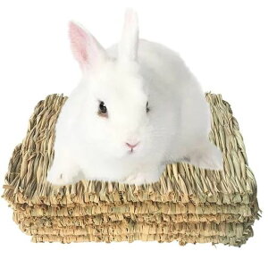 MUYYIKA̍ԂƂ񑐂̕҂ݕނOXP[Wxbh}bgVRfޗVяxݏꏊ҂݃NtgETMnX^[bgIEnX^[pi(1)