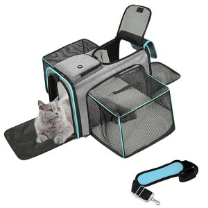 DICOCOLp܂肽ݎpL[obOg\􂦂}bgt^E^Ή\tgN[gybgL[eʌxgts