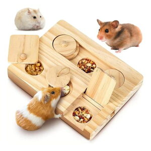 BotocoonX^[paanX^[ؐm炨XCh[XgXaPނ360x]ѓpP[WANZT[