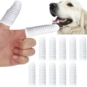 LELEYOwTbNuV||GXez360x|LLPACzCg6x2.5cm(10g)