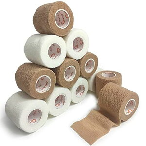 сAȔSтAwAArAeсApLk5cm6[̐F6[zCg