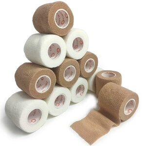 сAȔSтAwAArAeсApLk5cm6[̐F6[zCg