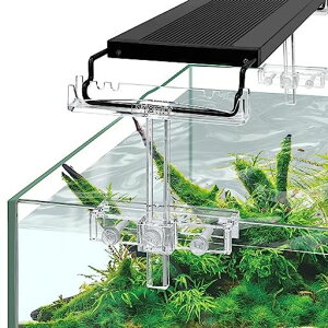 driamorCgX^hANX^h\CgtgLEDCgz_[