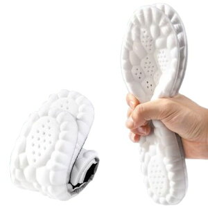 u2ZbgvC\[/ȂՌzRۏL_炩/ʋC/zy܂C\[C~d\[Ci[\[T|[eBuoEh