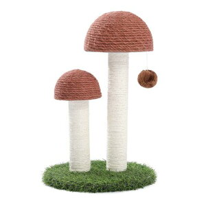 PAWZRoadL܌LmR^}S^Pc^u߂SʖR܌|[ȃXy[XRpNgVRTCU||KKgȒPLbg^[Xc