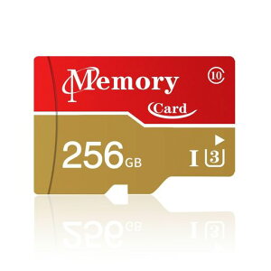 }CNJ[h256GB}CN[J[hUHS-If[^]FullHD&4KUHDX}[gtHΉTFJ[h