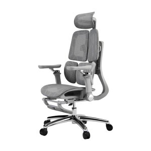 ZcaeXauItBX`FASG-018OEXA9DA[XglK߉E񕪊w15xKEOݍݎT|[g135xNCjOʉs5cmO㒲ߋtb