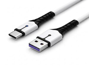 PS5 DualSense �R���g���[���[�p �[�d�P�[�u�� 2M Type�]C Switch/Xbox/�X�}�z�Ή�