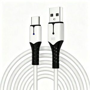 PS5 DualSense �R���g���[���[�p �[�d�P�[�u�� 2M Type�]C Switch/Xbox/�X�}�z�Ή�