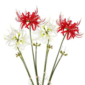 siawadeky�֎썹�؃t�F�C�N�t�����[����4�{�Z�b�g�ފ݉ԃq�K���o�i���b�h�z���C�g�Εf�u�[�P�͂�Ȃ��ԉԏ���l�H�ϗt�A���C���e���A�u���ʐ^�B�e�v���[���g�������葢�Ԍ|�p������