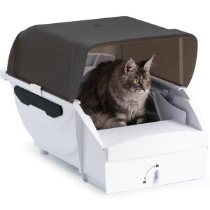 Pandaloli�g�C���L�g�C��������^:�S�����l�R�g�C����^�L�p�L�̃g�C�����������É��݌v�������|�����t���L����U�h�~�L��Ȃ��}���V���������/���s�p